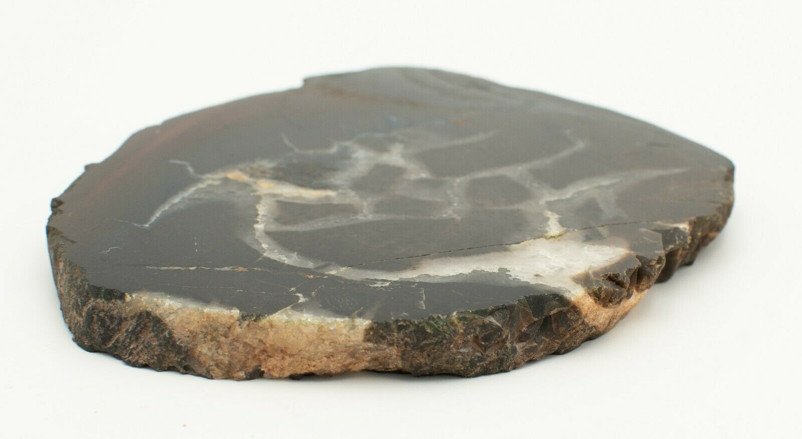 Polished Western Australian Chert Slice Stone Slab Pilbara CH002 ...