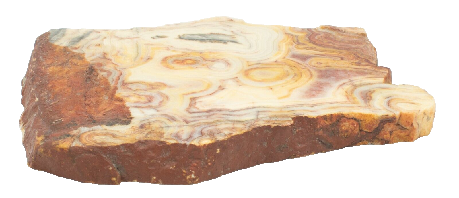 Polished-Western-Australian-Crazy-Lace-Agate-Slice-Stone-Slab-Pilbara-CL02051-375407181215-3