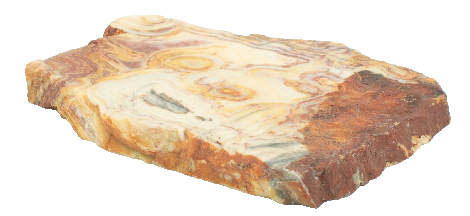 Polished-Western-Australian-Crazy-Lace-Agate-Slice-Stone-Slab-Pilbara-CL02051-375407181215-5