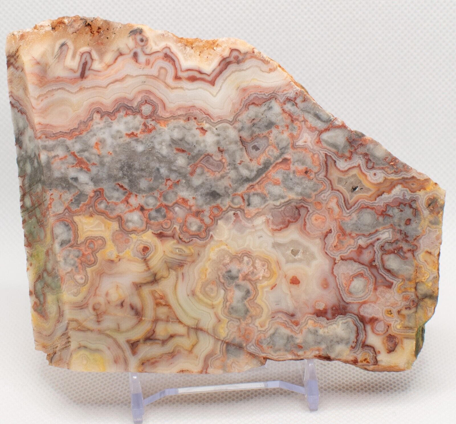 Polished-Western-Australian-Crazy-Lace-Agate-Slice-Stone-Slab-Pilbara-CL161223-375124233755-2