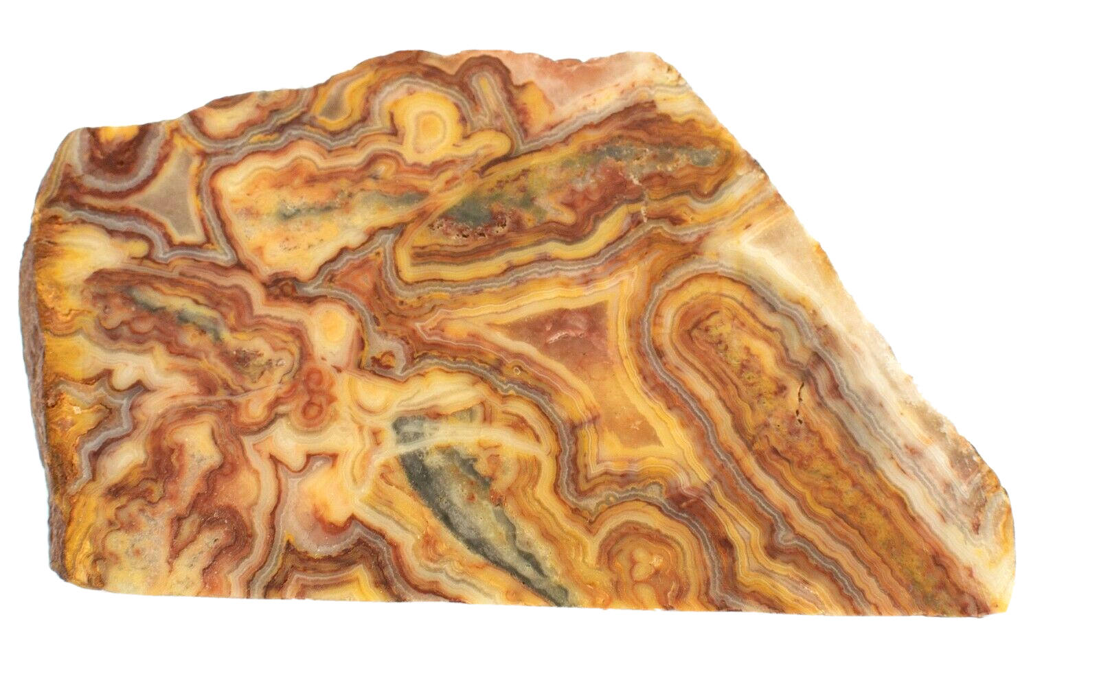 Polished-Western-Australian-Crazy-Lace-Agate-Slice-Stone-Slab-Pilbara-CLO994-374010459715-2