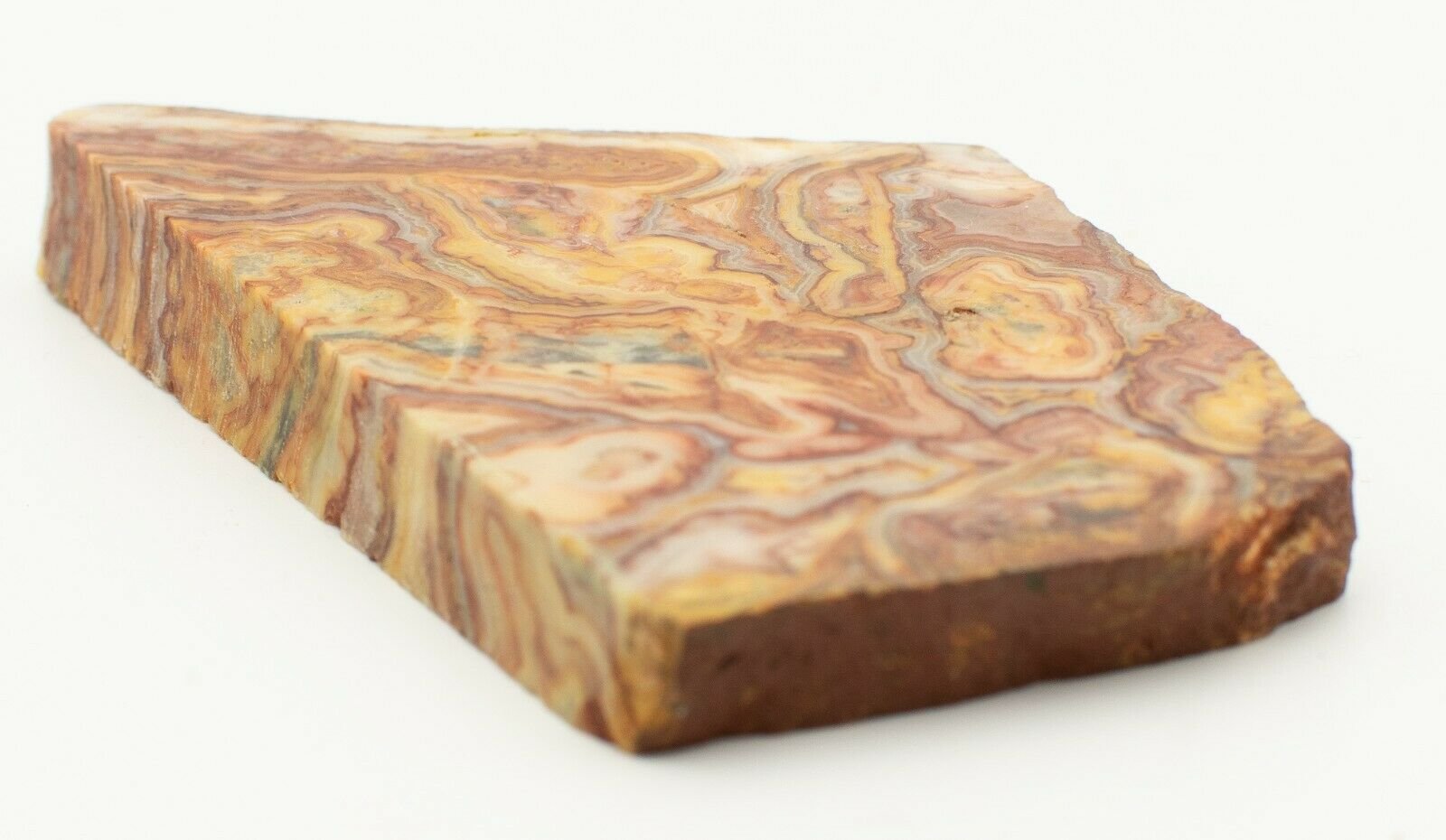 Polished-Western-Australian-Crazy-Lace-Agate-Slice-Stone-Slab-Pilbara-CLO994-374010459715-4