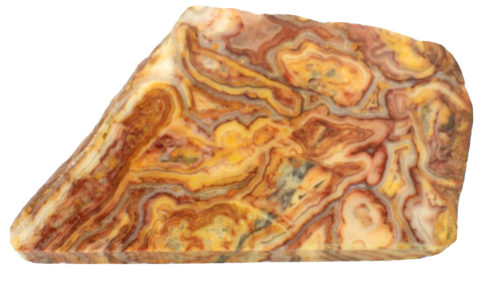 Polished-Western-Australian-Crazy-Lace-Agate-Slice-Stone-Slab-Pilbara-CLO994-374010459715