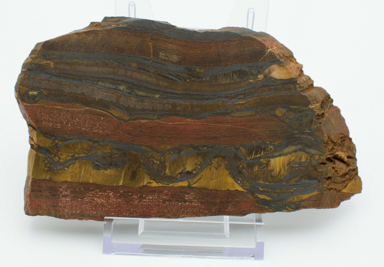 Polished-Western-Australian-Tiger-Eye-Hematite-Jasper-Slice-With-Free-Stand-373993866205-2