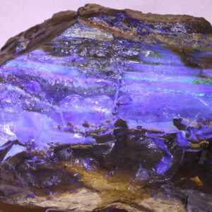 2.2kg Large Queensland Boulder Opal Rough