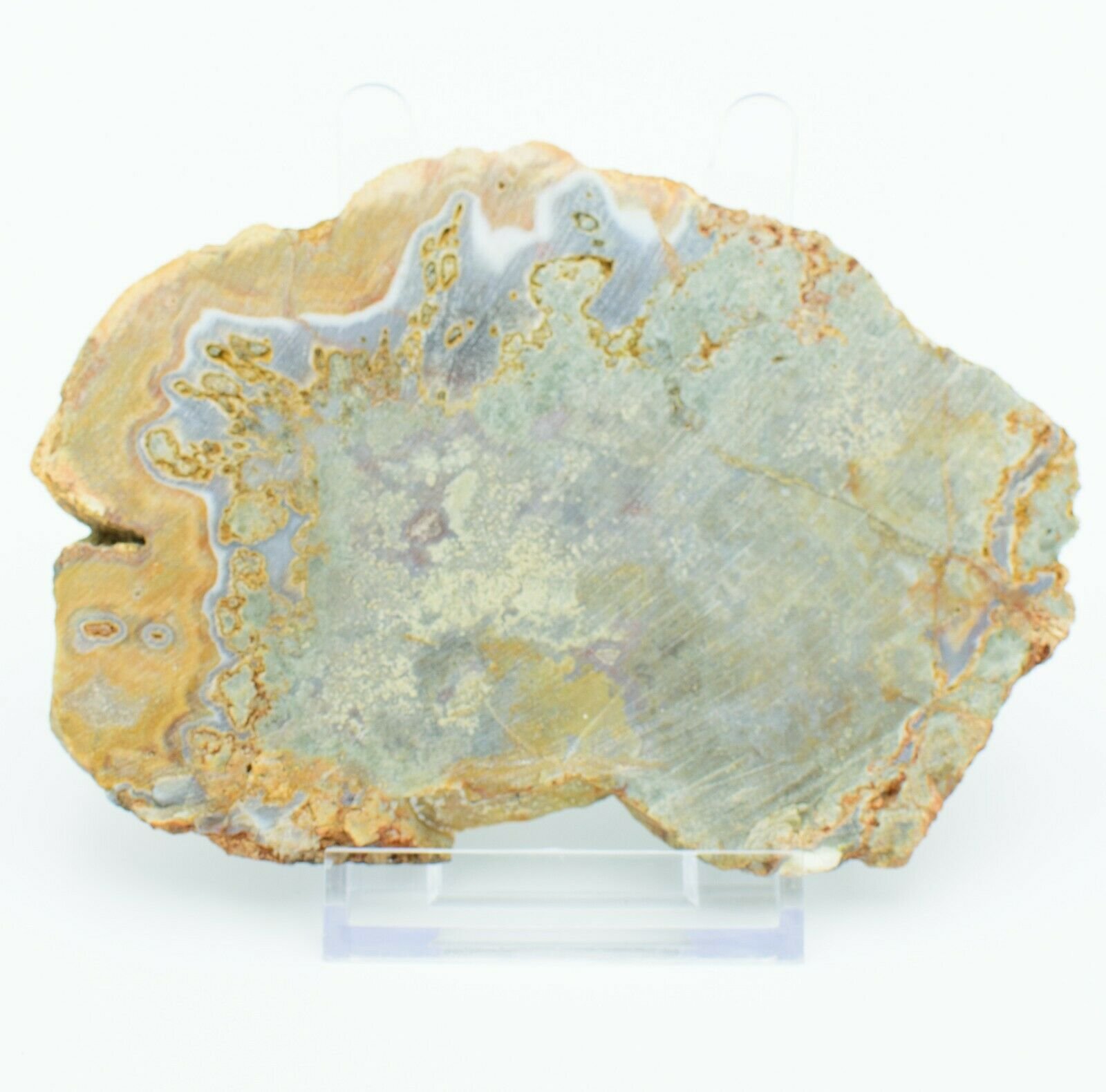 Polished-Agate-Creek-Thunder-Egg-Slab-Stone-Slice-Queensland-TE001-373994018696-2