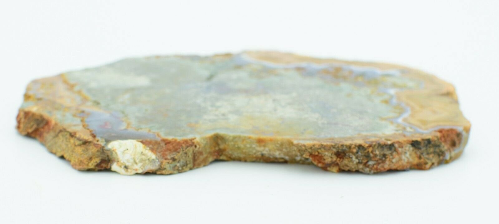 Polished-Agate-Creek-Thunder-Egg-Slab-Stone-Slice-Queensland-TE001-373994018696-4