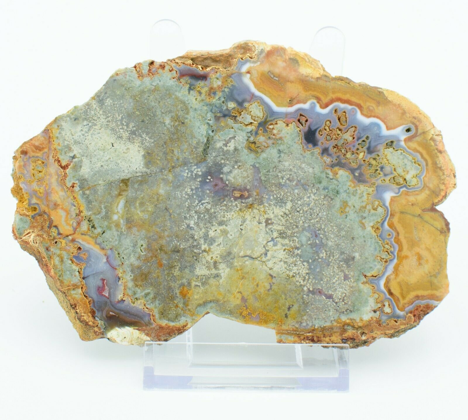Polished-Agate-Creek-Thunder-Egg-Slab-Stone-Slice-Queensland-TE001-373994018696