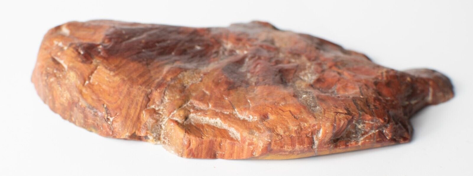 Polished-Chinchilla-Petrified-Wood-Slice-Stone-Slab-Australian-PW2109232-374943351366-3