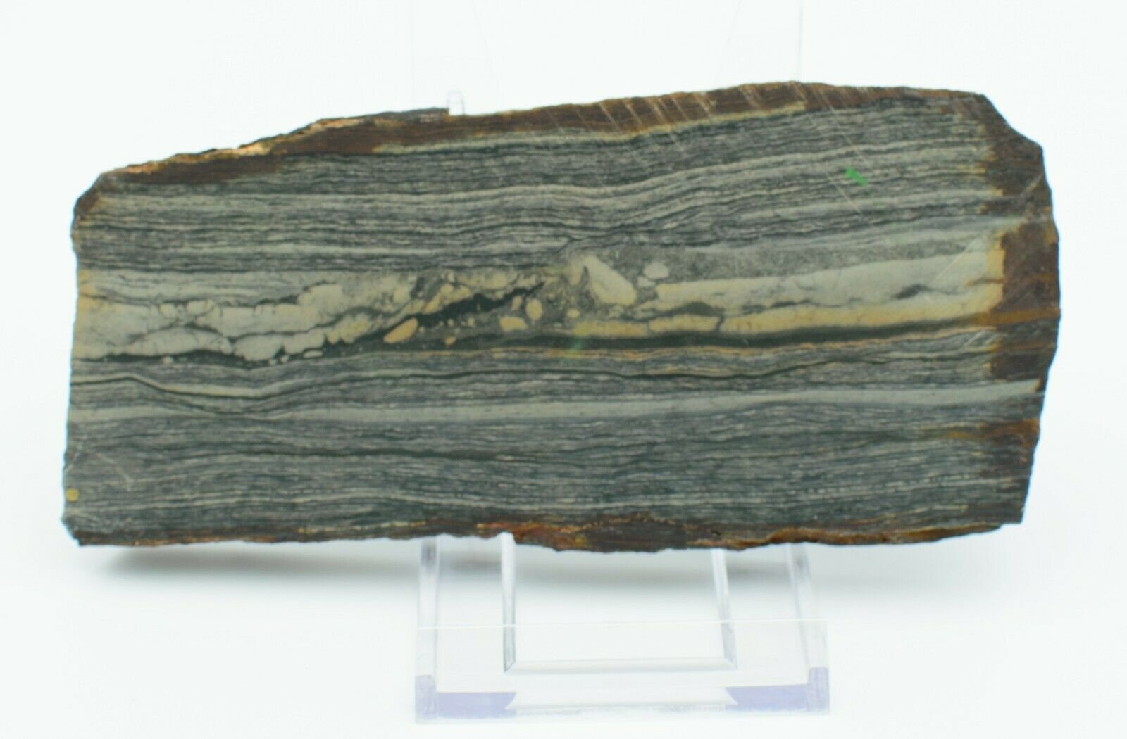 Polished-Western-Australian-Brecciated-Chert-Slice-Stone-Slab-Pilbara-Jasper-373995092306-2