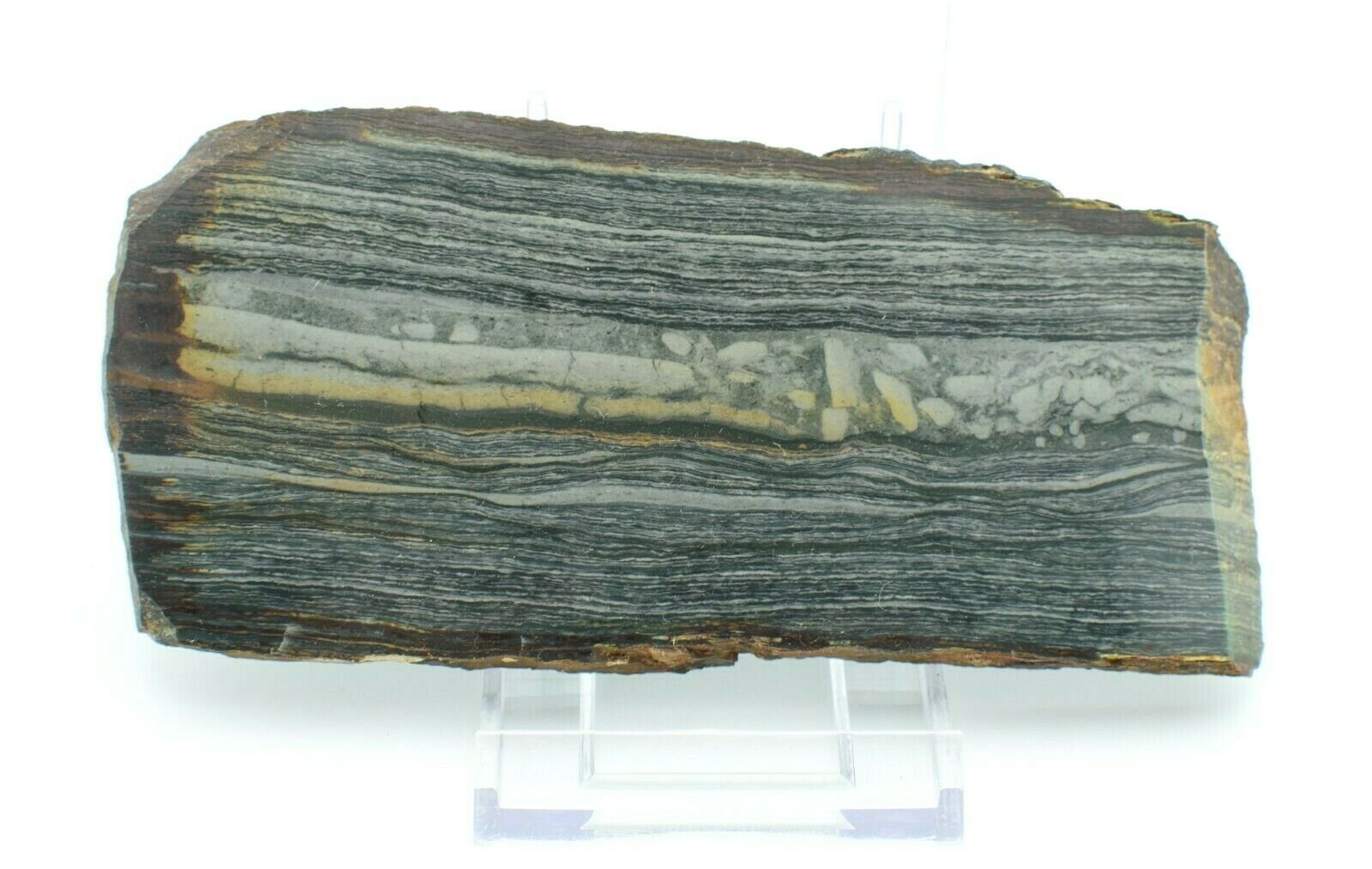 Polished-Western-Australian-Brecciated-Chert-Slice-Stone-Slab-Pilbara-Jasper-373995092306