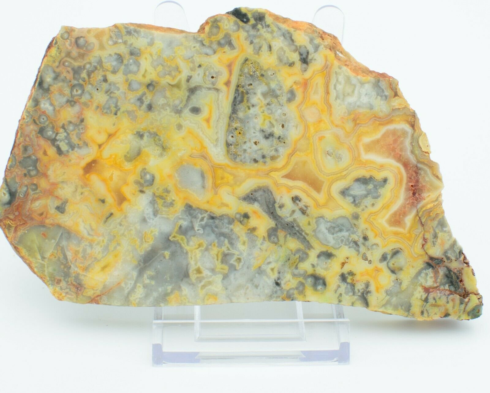 Polished-Western-Australian-Crazy-Lace-Agate-Slice-Stone-Slab-Pilbara-CL004-373995054406-2