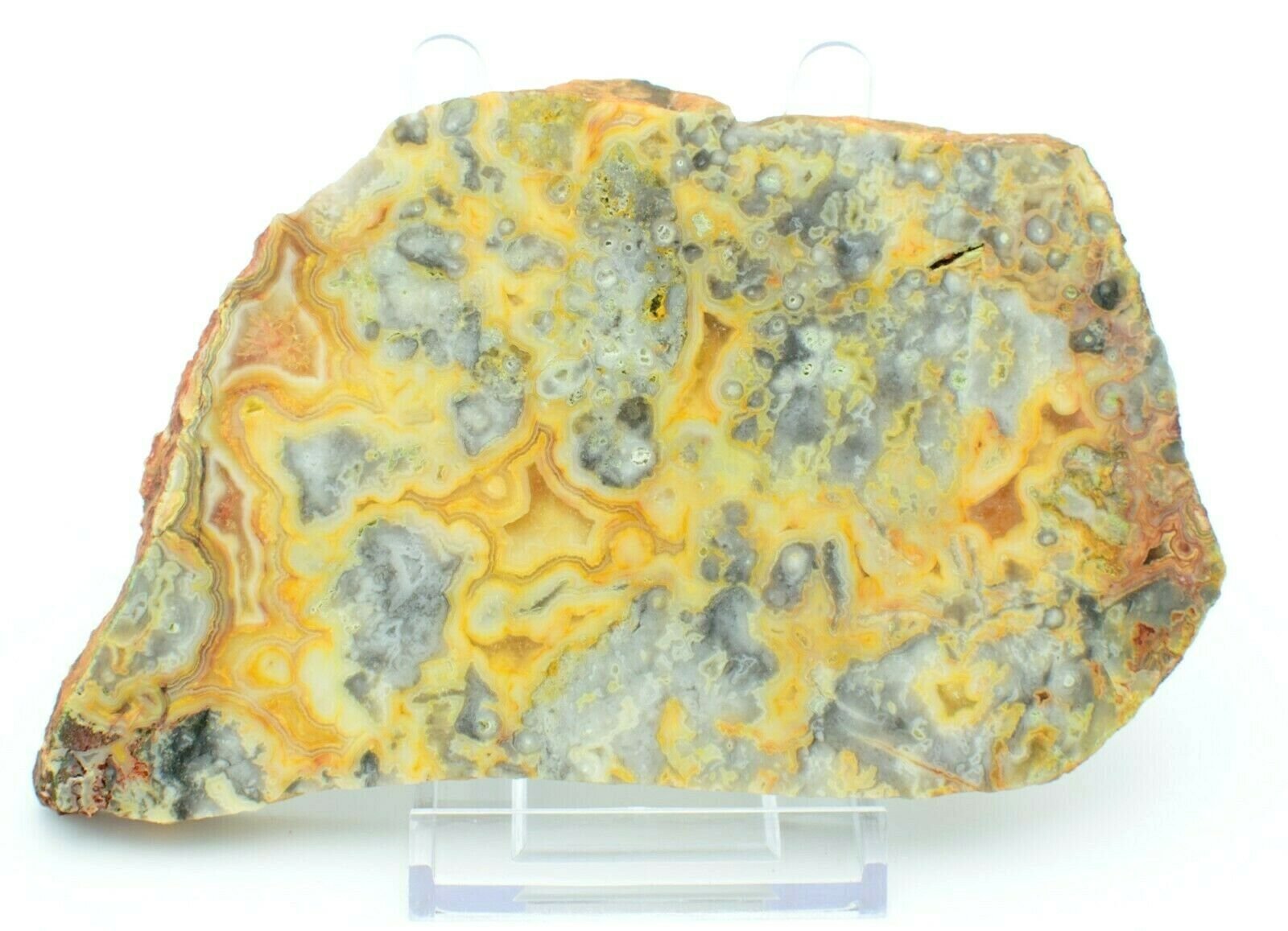 Polished-Western-Australian-Crazy-Lace-Agate-Slice-Stone-Slab-Pilbara-CL004-373995054406