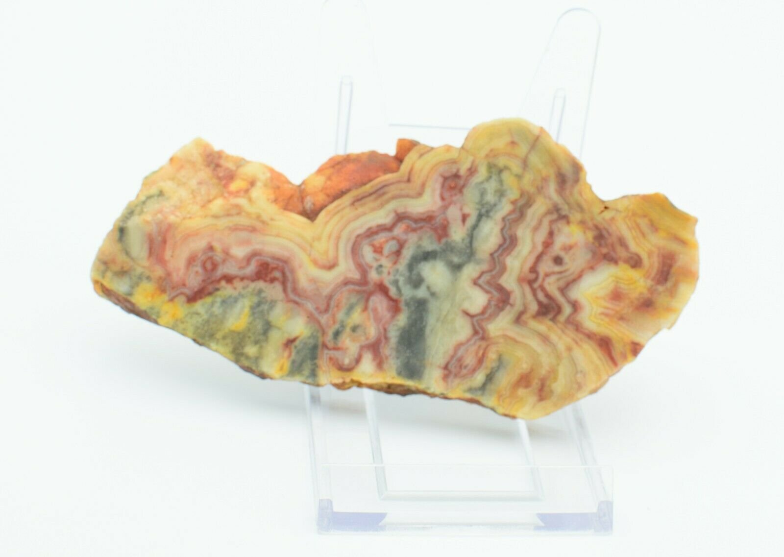 Polished-Western-Australian-Crazy-Lace-Agate-Slice-Stone-Slab-Pilbara-CL005-373995059596-2