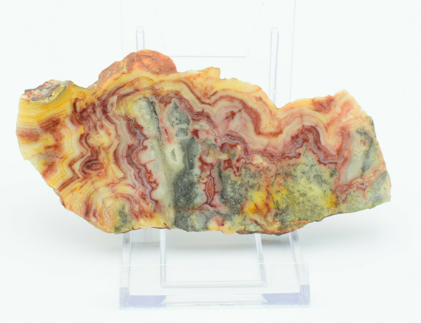Polished-Western-Australian-Crazy-Lace-Agate-Slice-Stone-Slab-Pilbara-CL005-373995059596