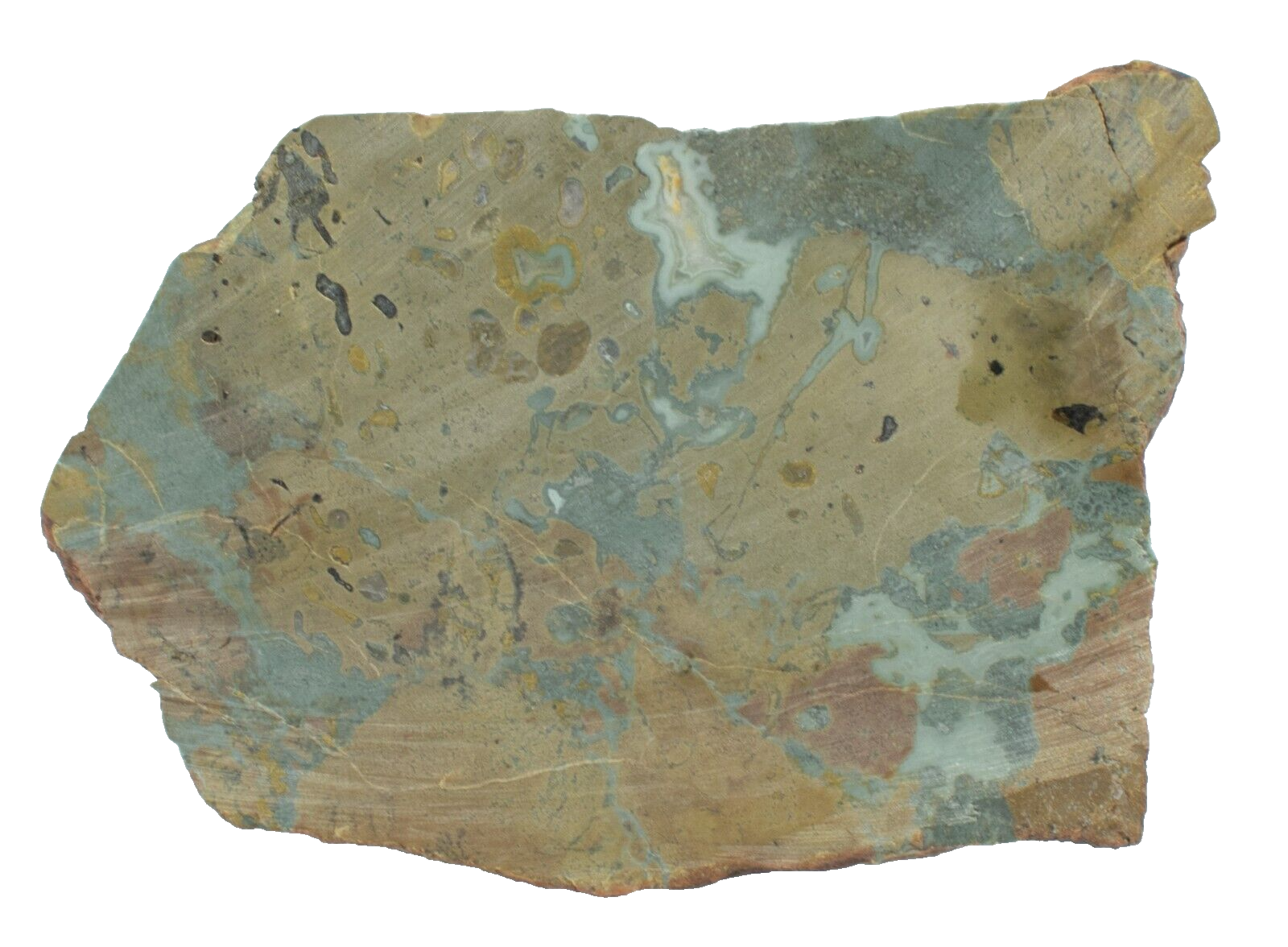 Polished-Western-Australian-Galaxy-Agate-Slice-Stone-Slab-Pilbara-GA02054-375407413806-2