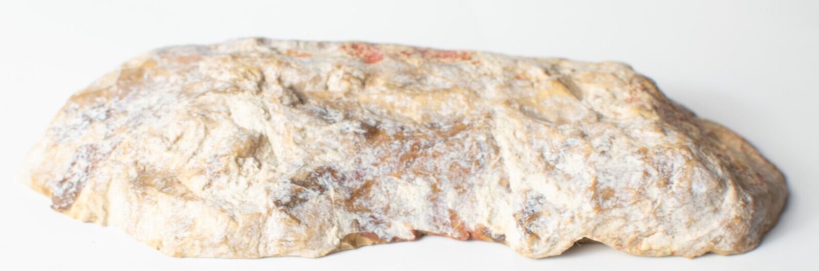 Polished-Chinchilla-Petrified-Wood-Slice-Stone-Slab-Australian-PW2109233-374943360607-3