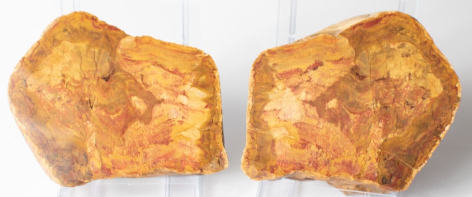 Polished-Chinchilla-Petrified-Wood-Slice-Stone-Slab-Australian-PW2109238-374943398737