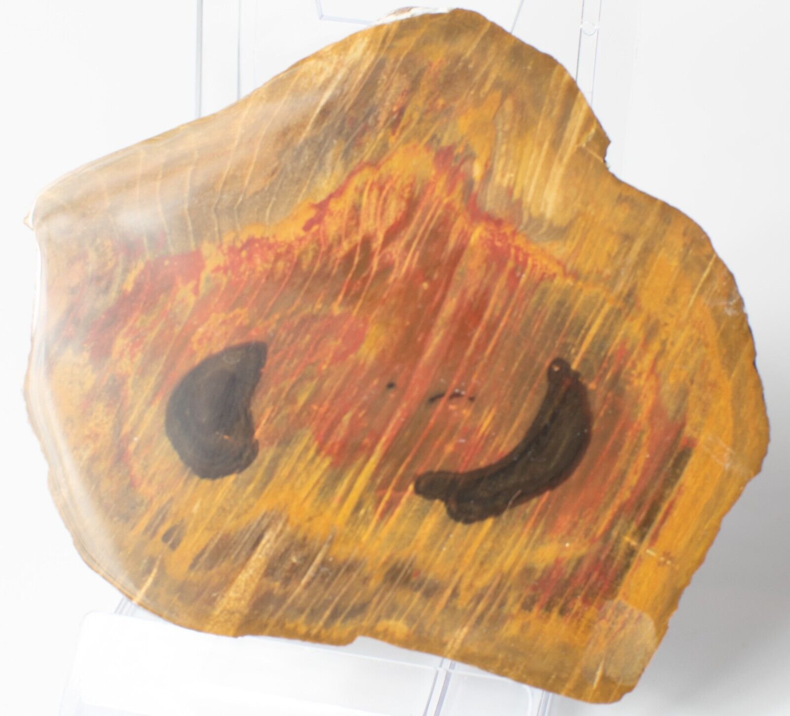 Polished-Chinchilla-Petrified-Wood-Slice-Stone-Slab-Australian-PW2109239-374943406517-3
