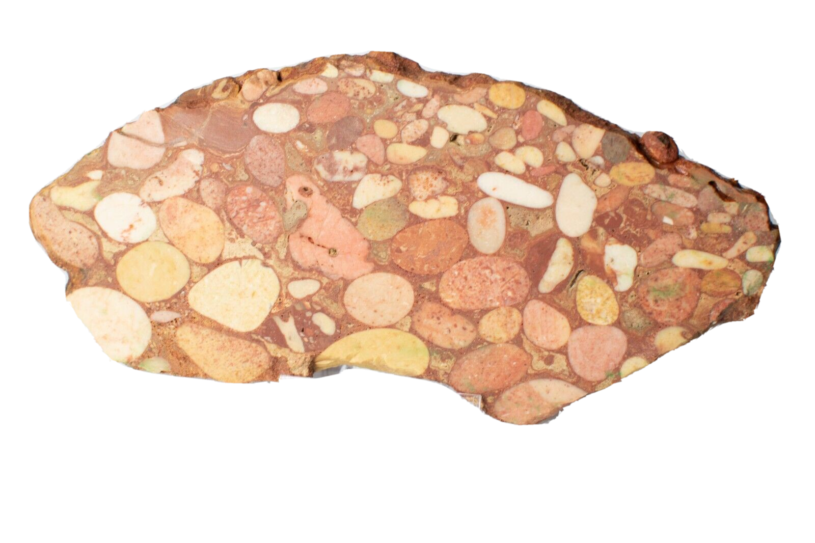 Polished-Exmouth-Western-Australian-Polished-Pudding-Stone-Free-Stand-ps3103231-374597063347-2