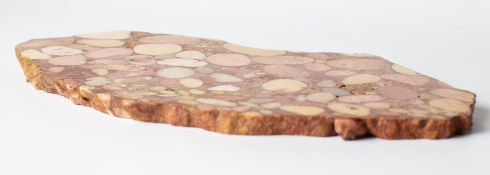 Polished-Exmouth-Western-Australian-Polished-Pudding-Stone-Free-Stand-ps3103231-374597063347-3