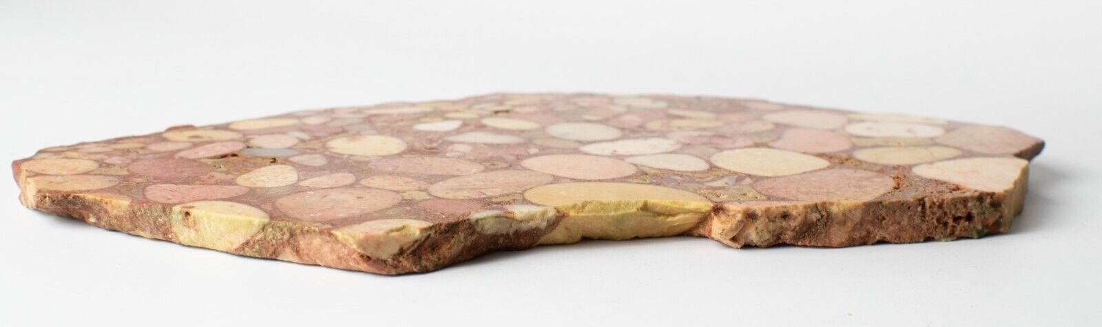 Polished-Exmouth-Western-Australian-Polished-Pudding-Stone-Free-Stand-ps3103231-374597063347-4