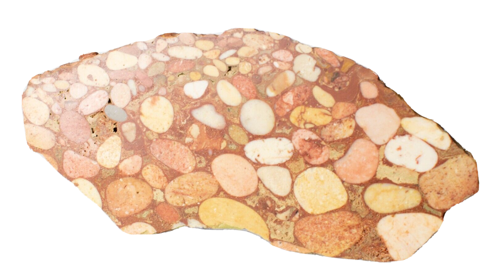 Polished-Exmouth-Western-Australian-Polished-Pudding-Stone-Free-Stand-ps3103231-374597063347