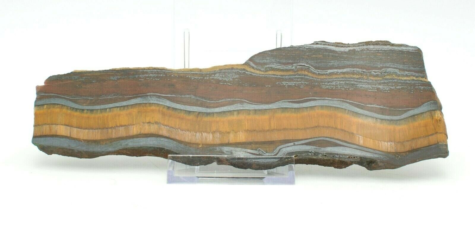 Polished-Pilbara-Tiger-Eye-Iron-Slice-Western-Australia-Rock-Slab-Jasper-372927311427