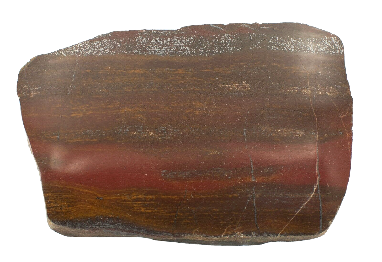 Polished-Western-Australian-Banded-Iron-Jasper-Slice-Stone-Slab-BI0104234-374598530787