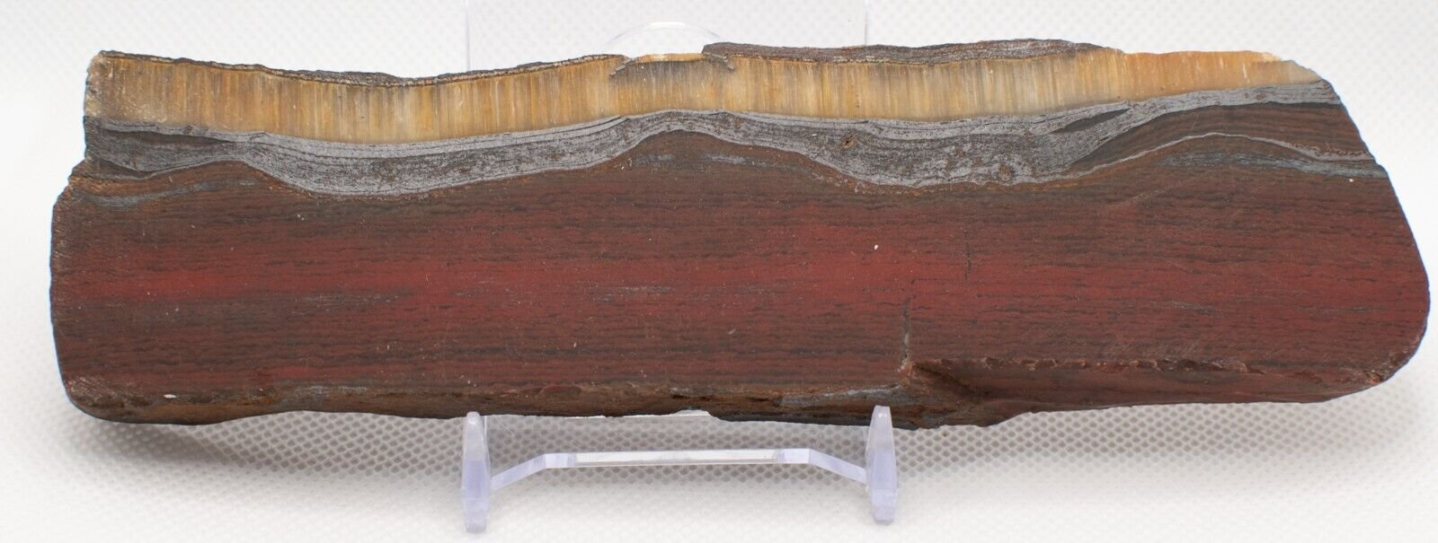 Polished-Western-Australian-Banded-Iron-Jasper-silicified-C-Slice-Stone-BI161223-374624339707-2