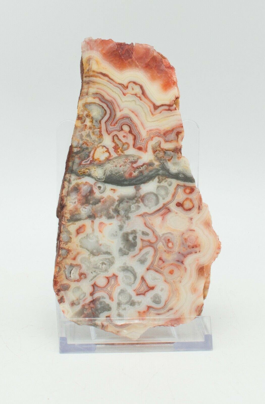 Polished-Western-Australian-Crazy-Lace-Agate-Slice-Stone-Slab-Pilbara-4-373255858647-2
