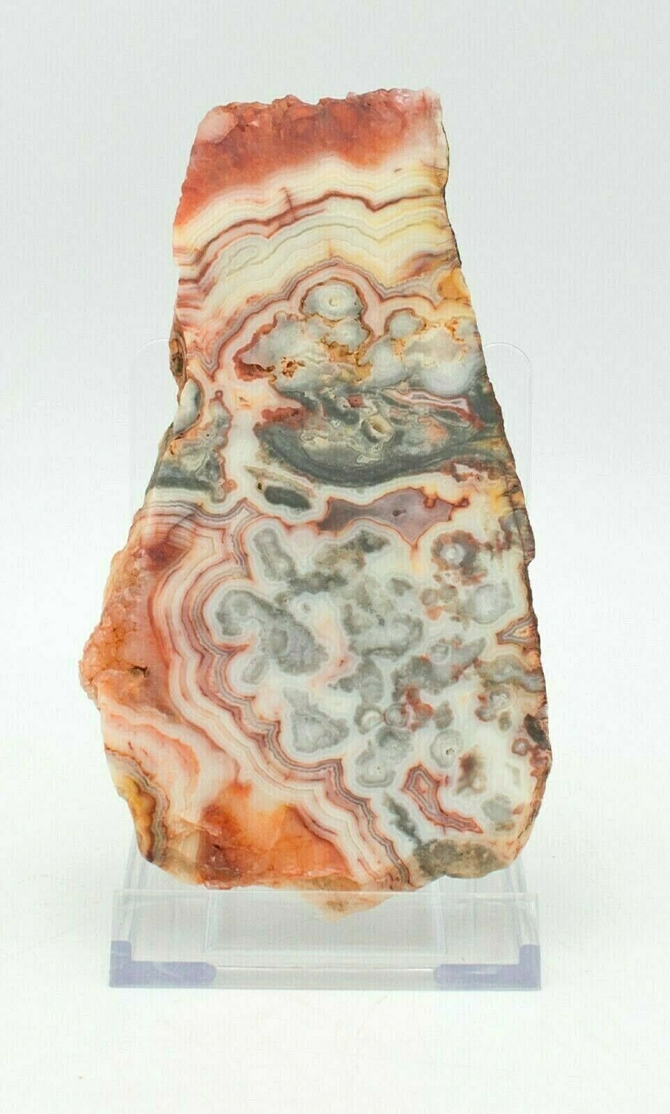 Polished-Western-Australian-Crazy-Lace-Agate-Slice-Stone-Slab-Pilbara-4-373255858647