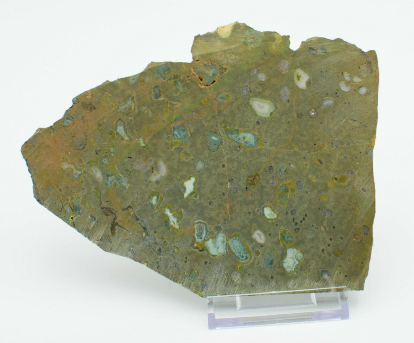 Polished-Western-Australian-Galaxy-Agate-Slice-Stone-Slab-Pilbara-GA001-373994009707-2