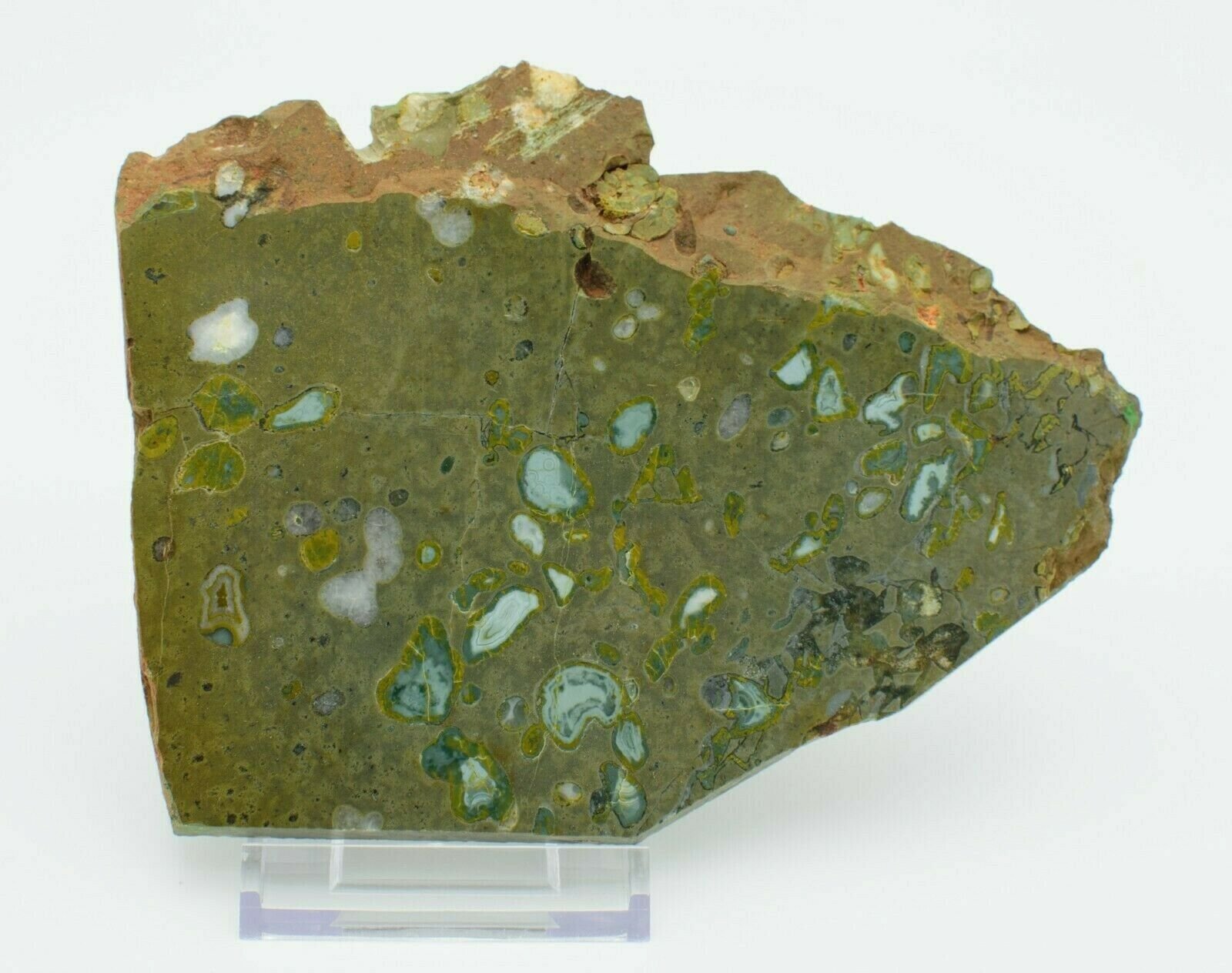 Polished-Western-Australian-Galaxy-Agate-Slice-Stone-Slab-Pilbara-GA001-373994009707