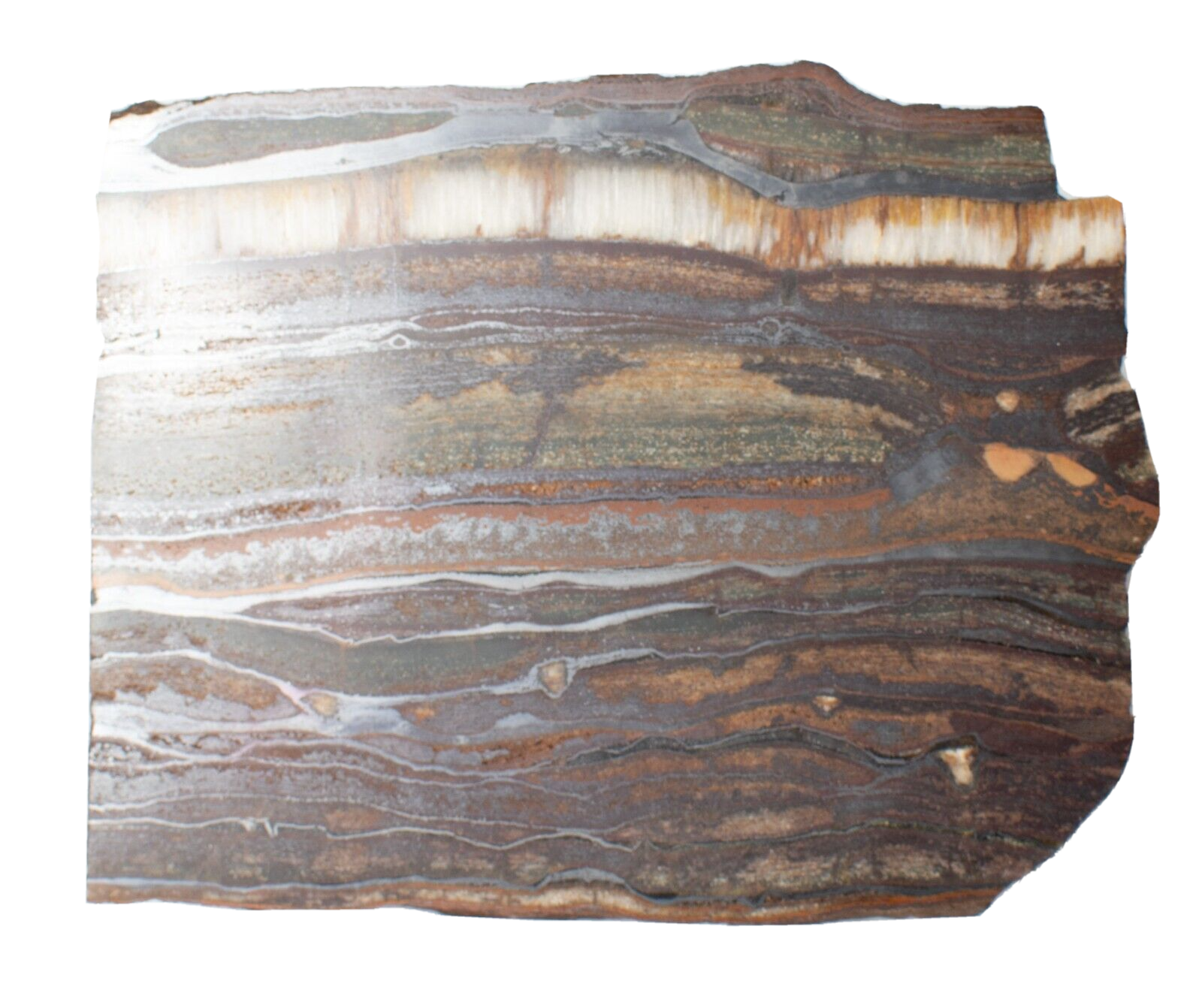 Polished-Western-Australian-Banded-Iron-Jasper-Chrysotile-Slice-Stone-SC120423-374624352358