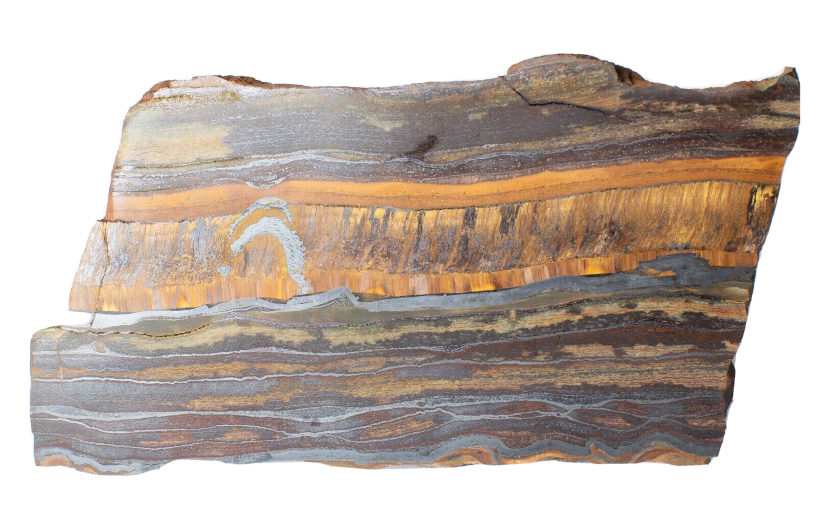 Australian on sale tiger eye