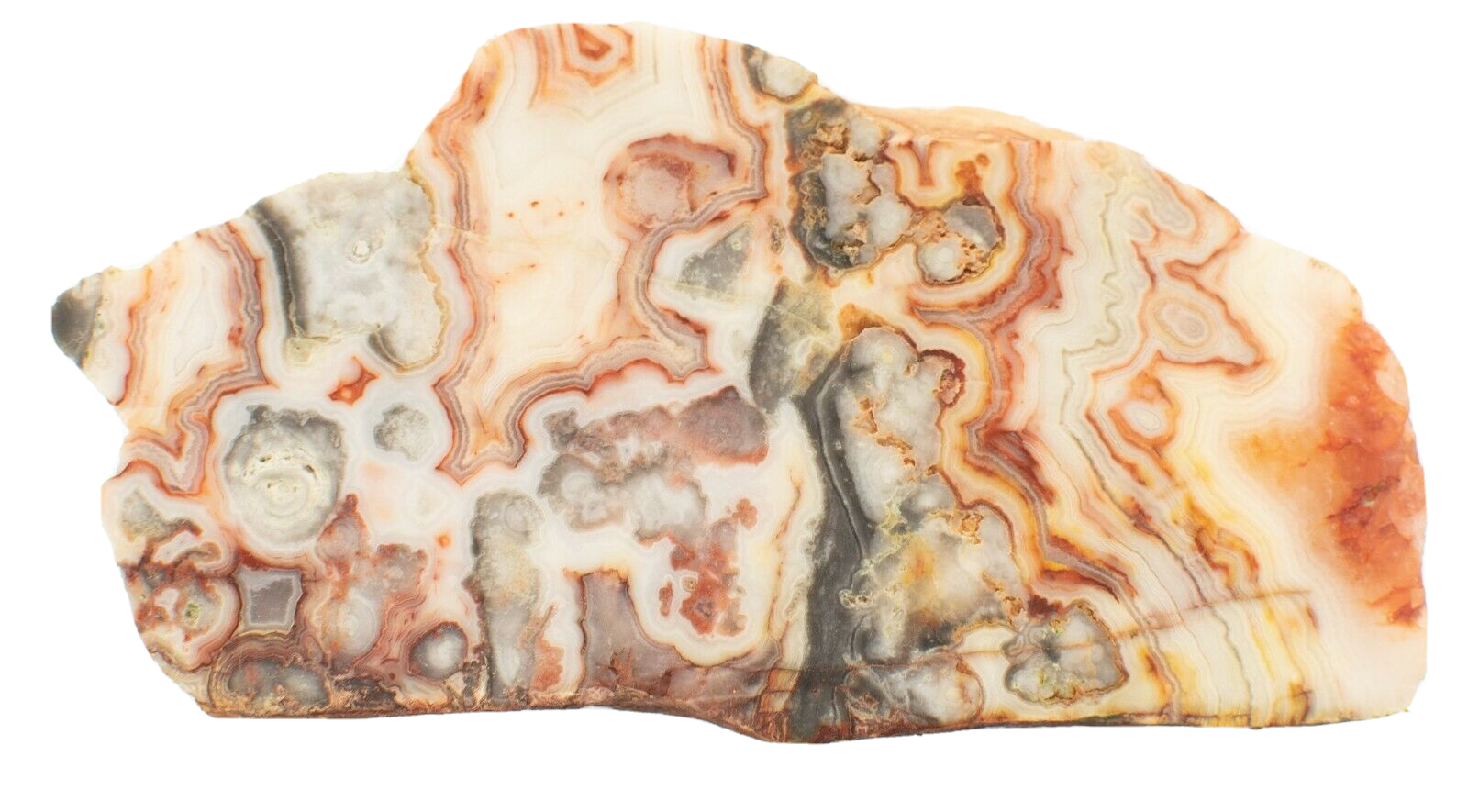 Polished-Western-Australian-Crazy-Lace-Agate-Slice-Stone-Slab-Pilbara-CL0010-374001981019