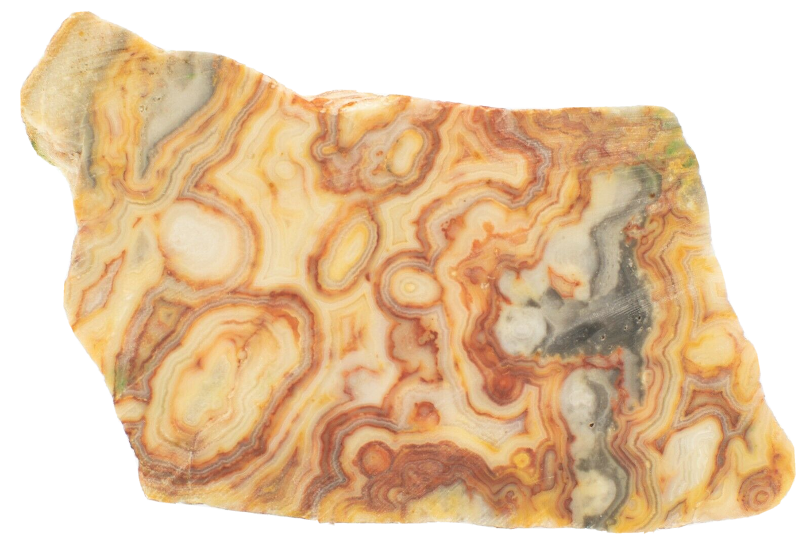 Polished-Western-Australian-Crazy-Lace-Agate-Slice-Stone-Slab-Pilbara-CL008-374001882679-2