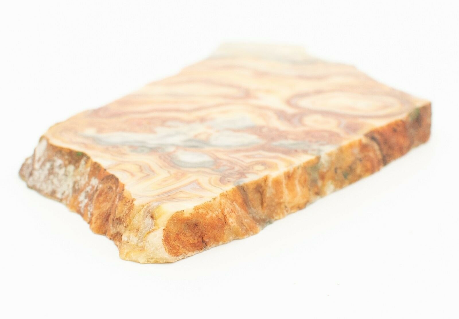 Polished-Western-Australian-Crazy-Lace-Agate-Slice-Stone-Slab-Pilbara-CL008-374001882679-4