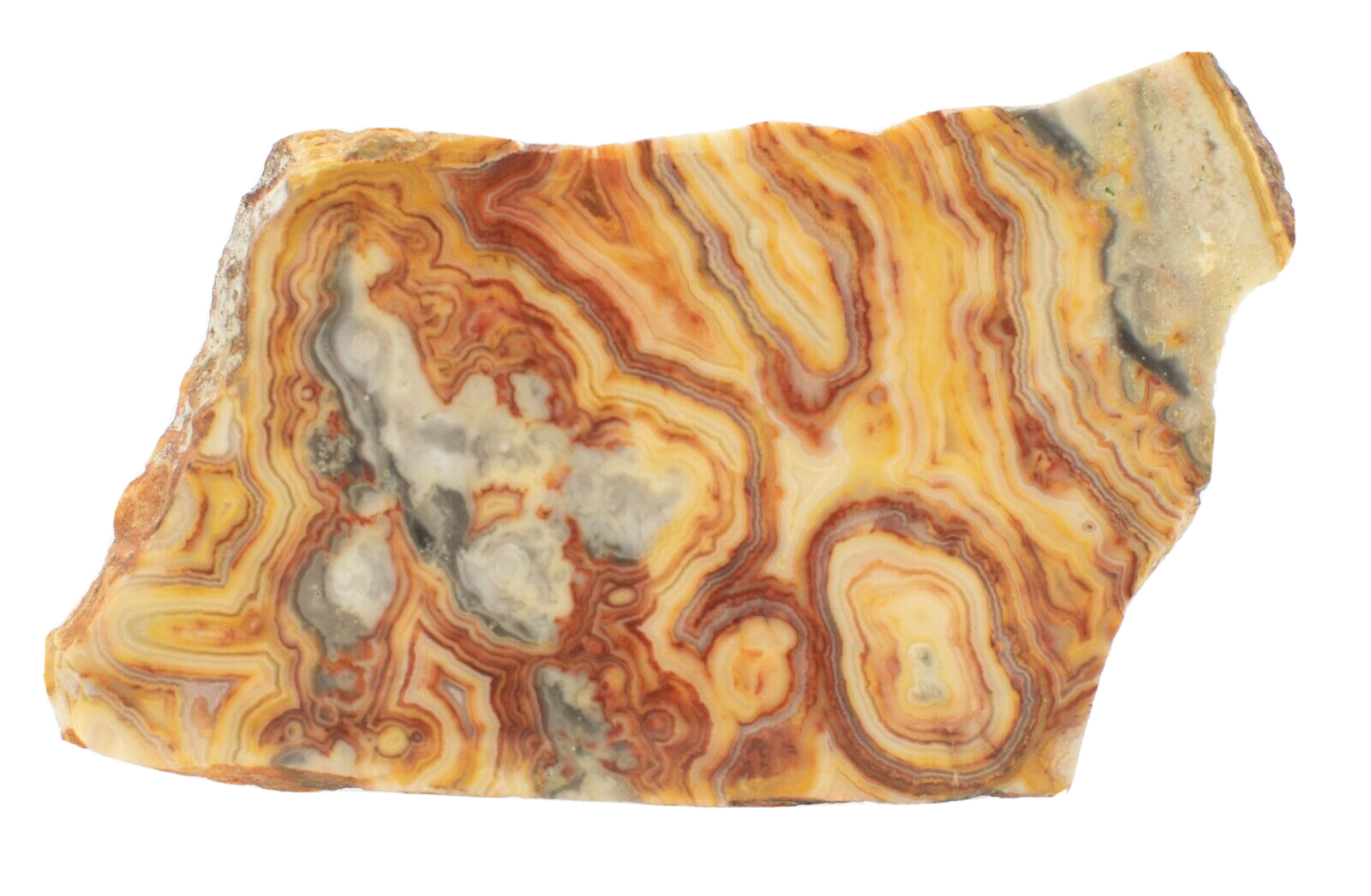Polished-Western-Australian-Crazy-Lace-Agate-Slice-Stone-Slab-Pilbara-CL008-374001882679