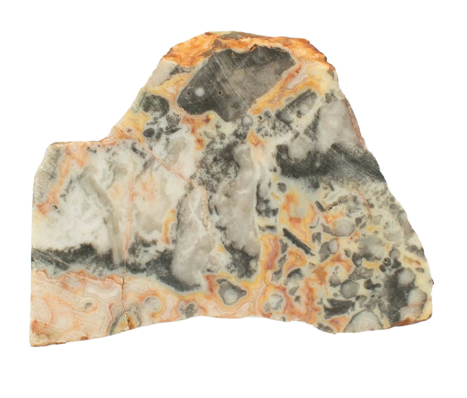 Polished-Western-Australian-Crazy-Lace-Agate-Slice-Stone-Slab-Pilbara-CL057-374012047129-2