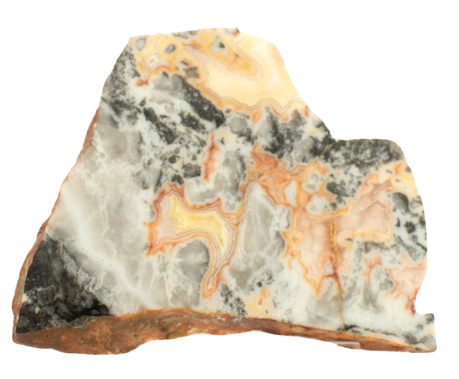 Polished-Western-Australian-Crazy-Lace-Agate-Slice-Stone-Slab-Pilbara-CL057-374012047129