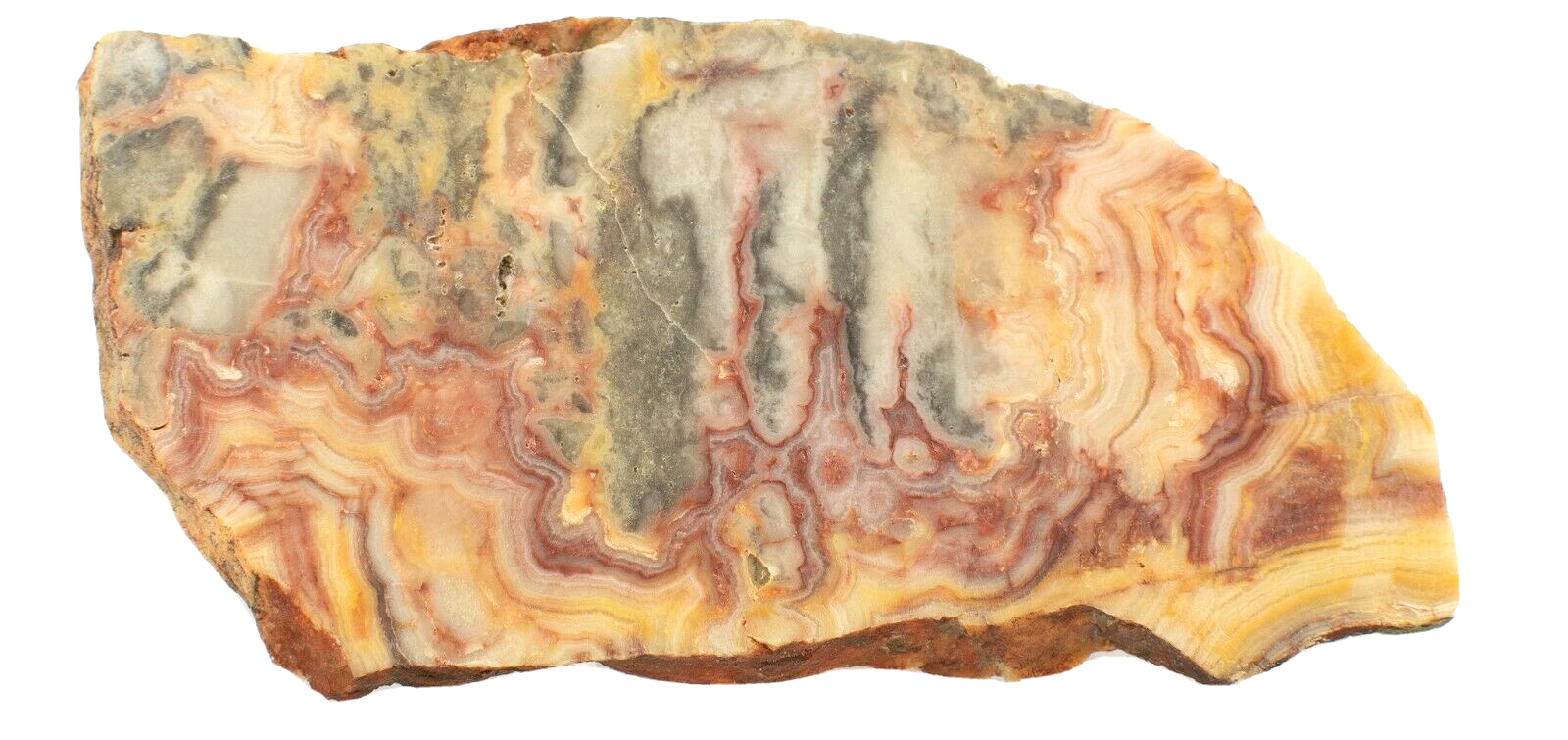Polished-Western-Australian-Crazy-Lace-Agate-Slice-Stone-Slab-Pilbara-CLO995-374010456449-2