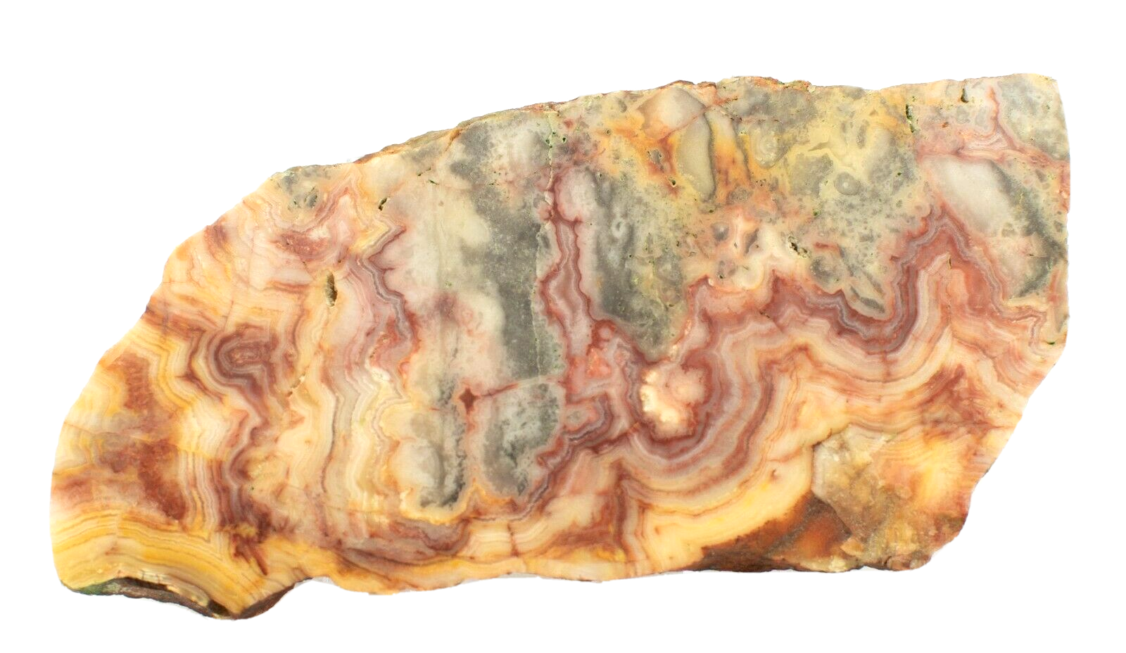 Polished-Western-Australian-Crazy-Lace-Agate-Slice-Stone-Slab-Pilbara-CLO995-374010456449