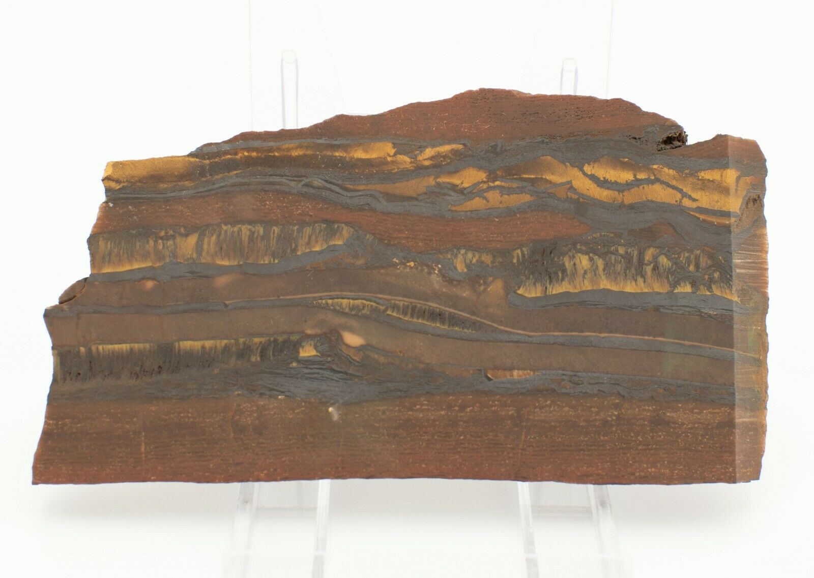 Polished Western Australian Tiger Eye Hematite Chert Slice With Free